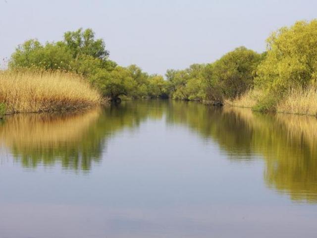 pescuit la biban pe canalul lopatna delta