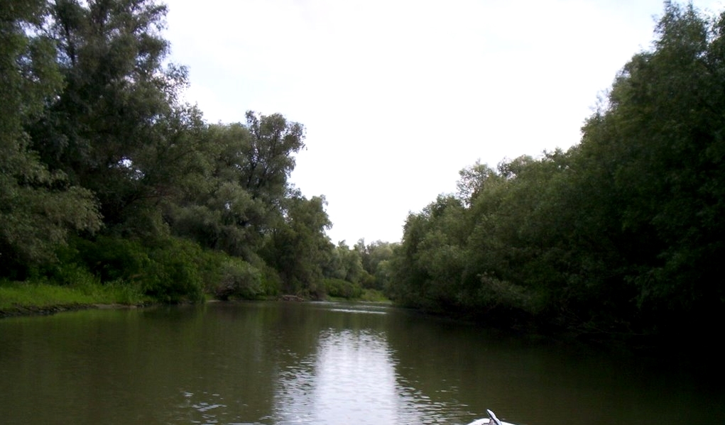 pescuit la somn pe canal perivolovca