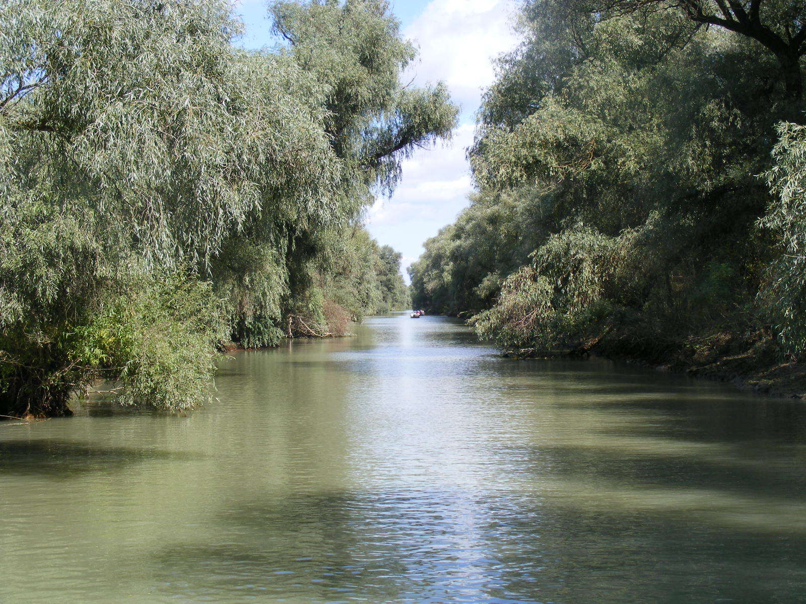 canalul uzlina brat sfantu gheorghe