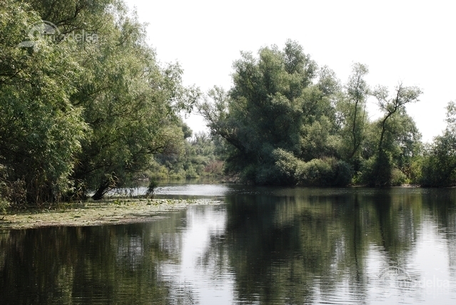 pescuit la stiuca pe lacul bogdaproste 