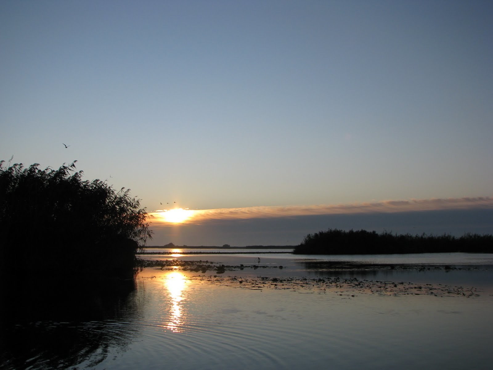 pescuit pe lacul radacinos cu barca cu motor delta