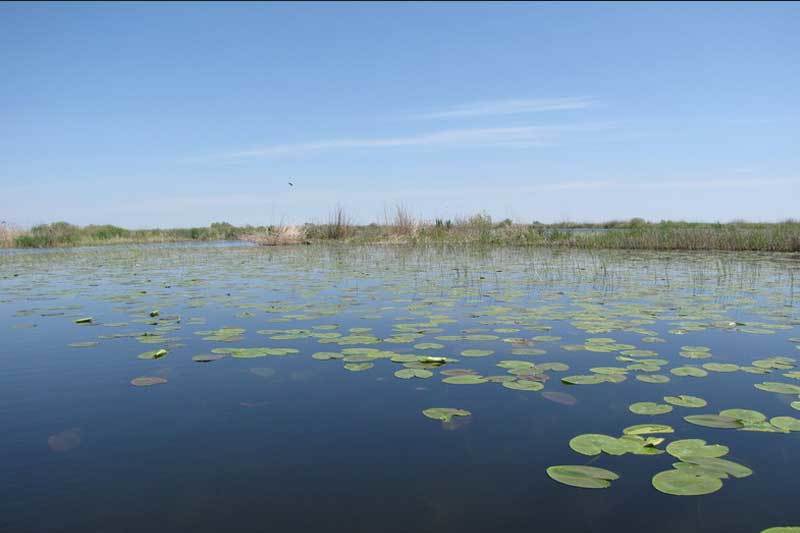 pescuit la sstiuca si biban pe lacul isac din delta 