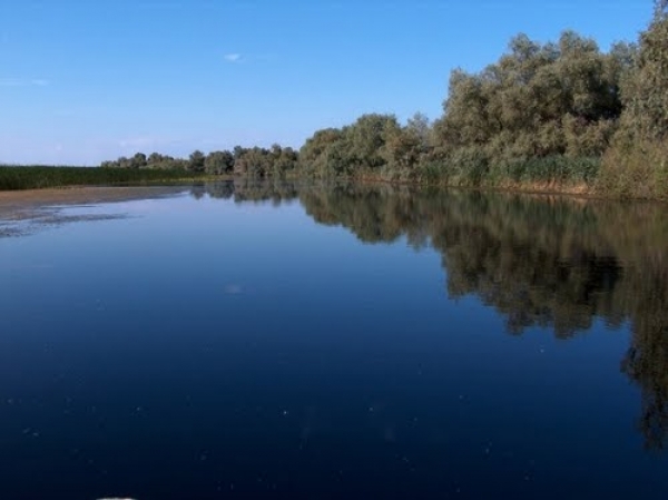 pescuit la stiuca pe lacul chiril in delta