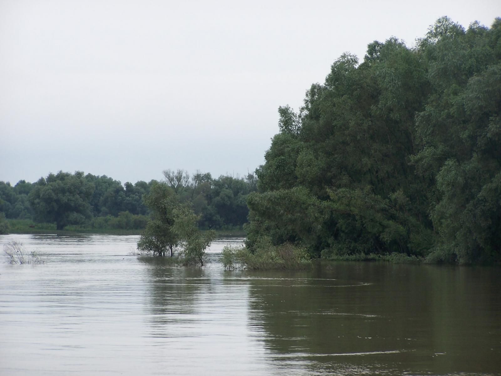 pescuit la crap pe lacul erenciu in delta