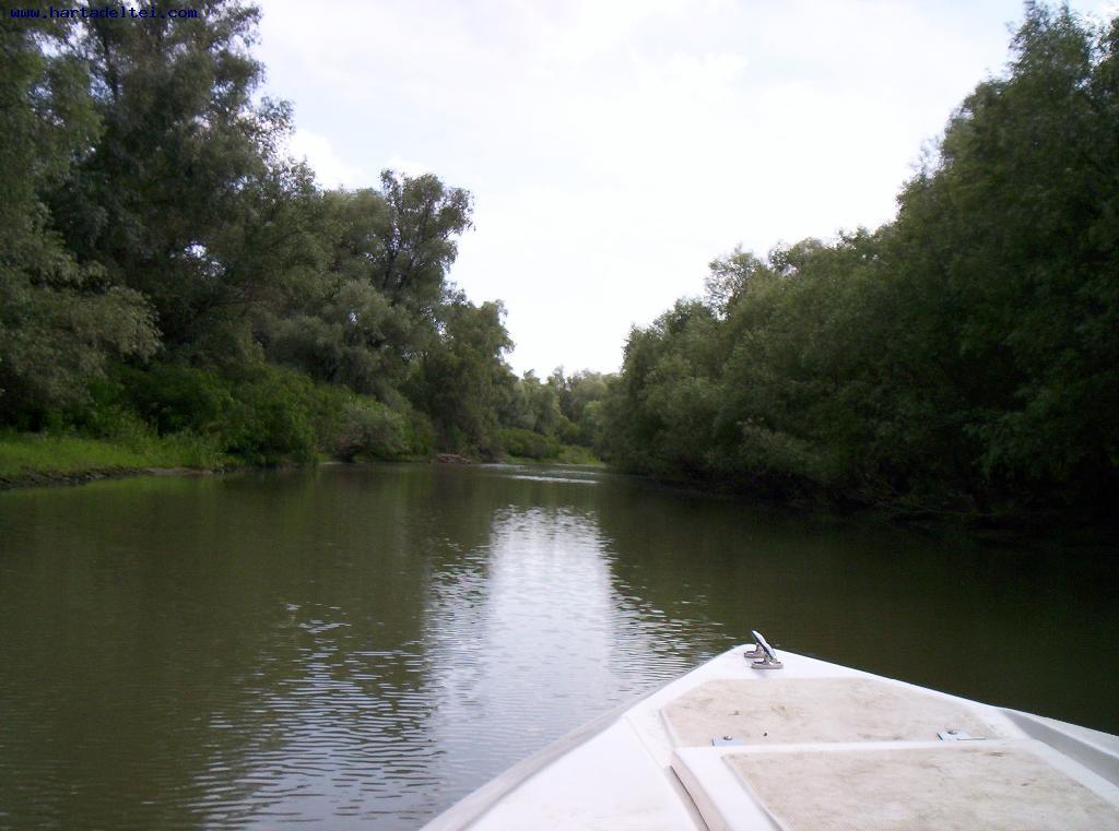 pescuit la stiuca pe lacul gorgostel in delta 