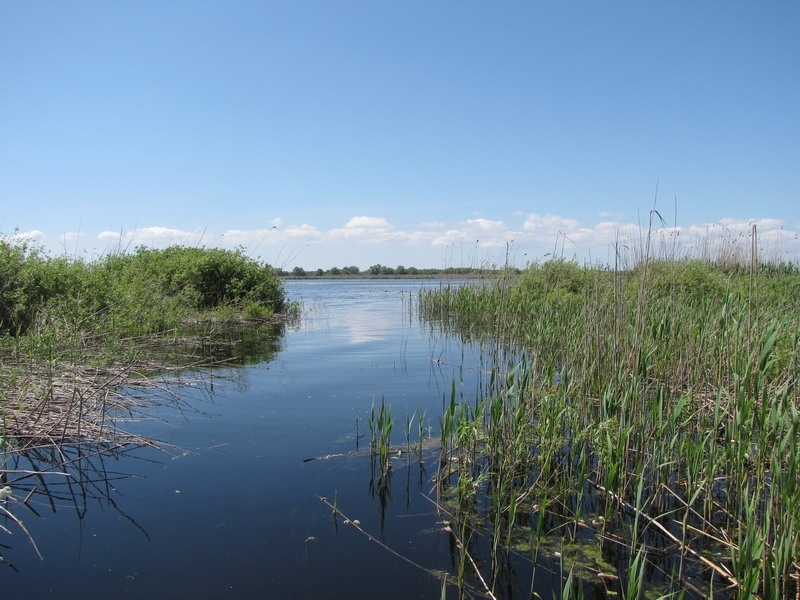 pescuit la stiuca si avat pe lacul gorgova din delta