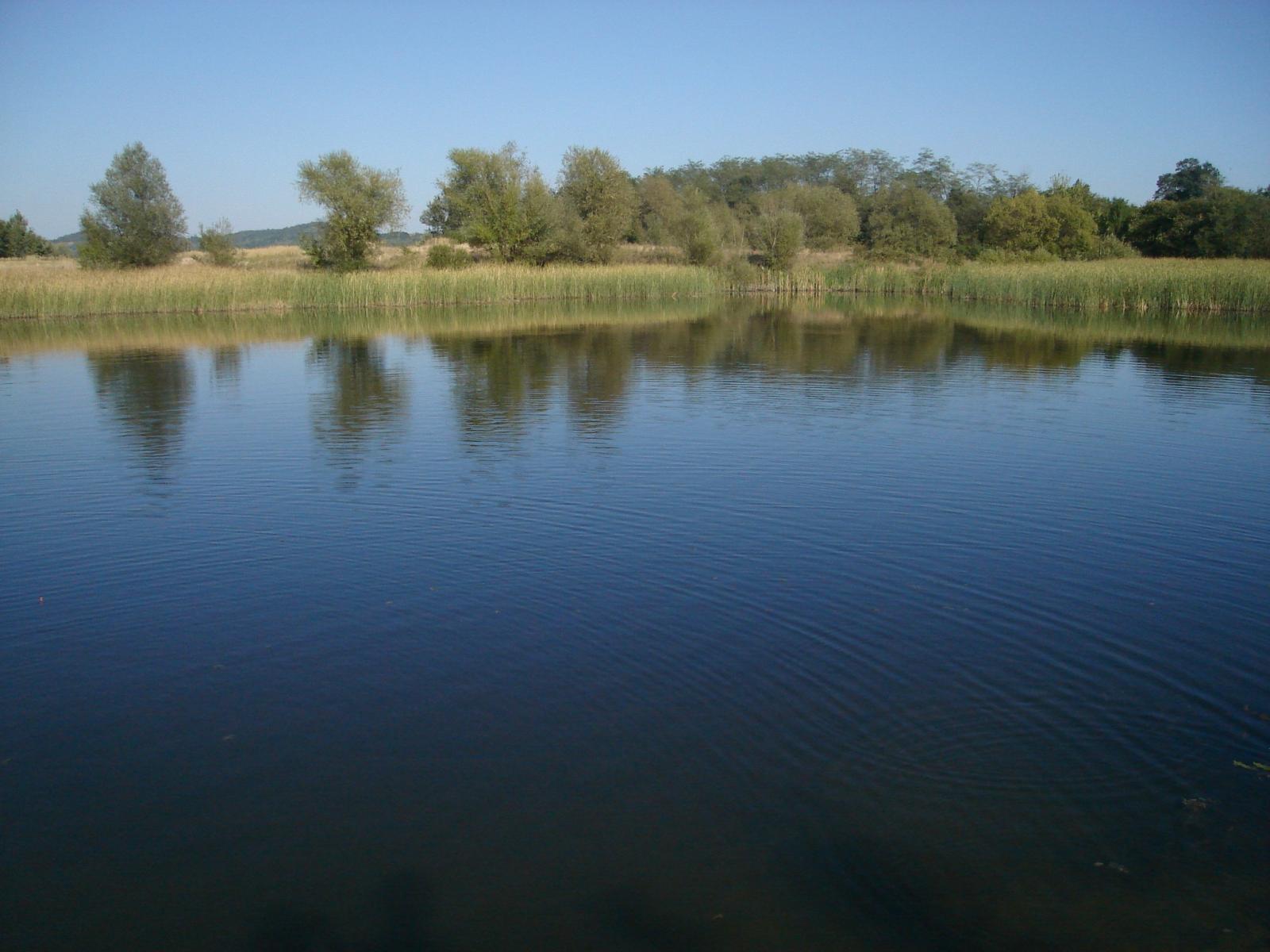 plimbare cu barca pe lacul potcoava in delta