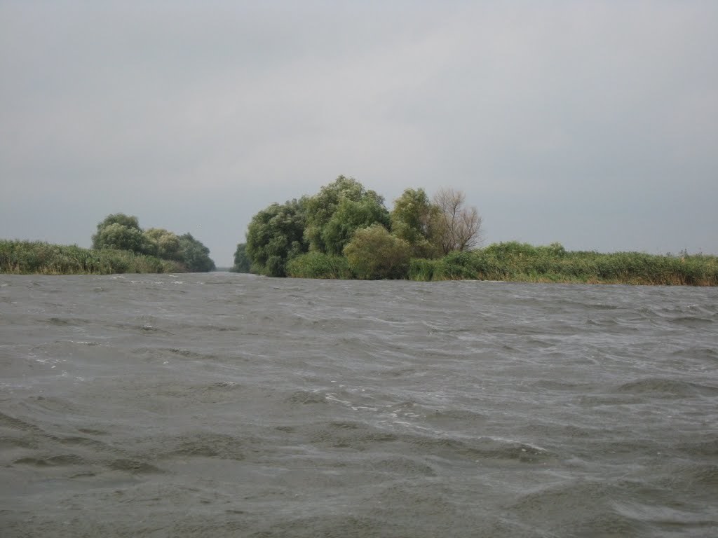 pescuit pe lacul puiu in delta dunarii