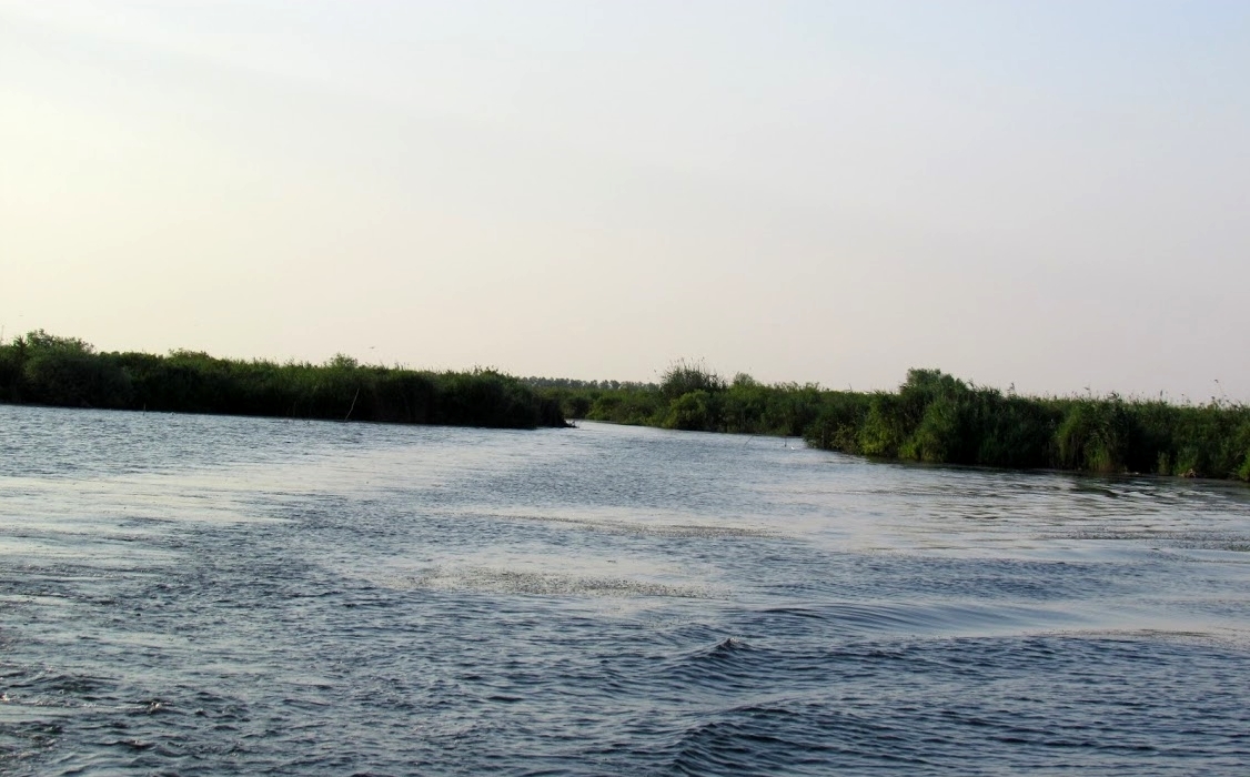 pescuit la stiuca si biban pe lacul puiulet din delta