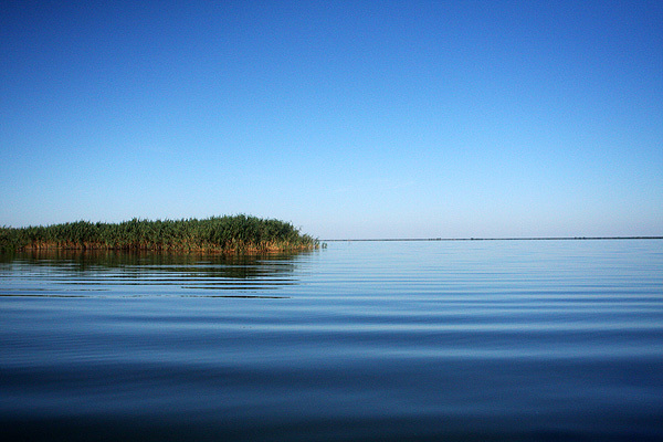 pescuit la stiuca pe lacul rosu in delta