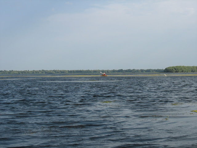 pescuit la stiuca pe lacul rotund in delta