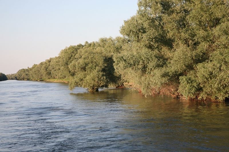 pescuit la stiuca pe lacul tranova din delta