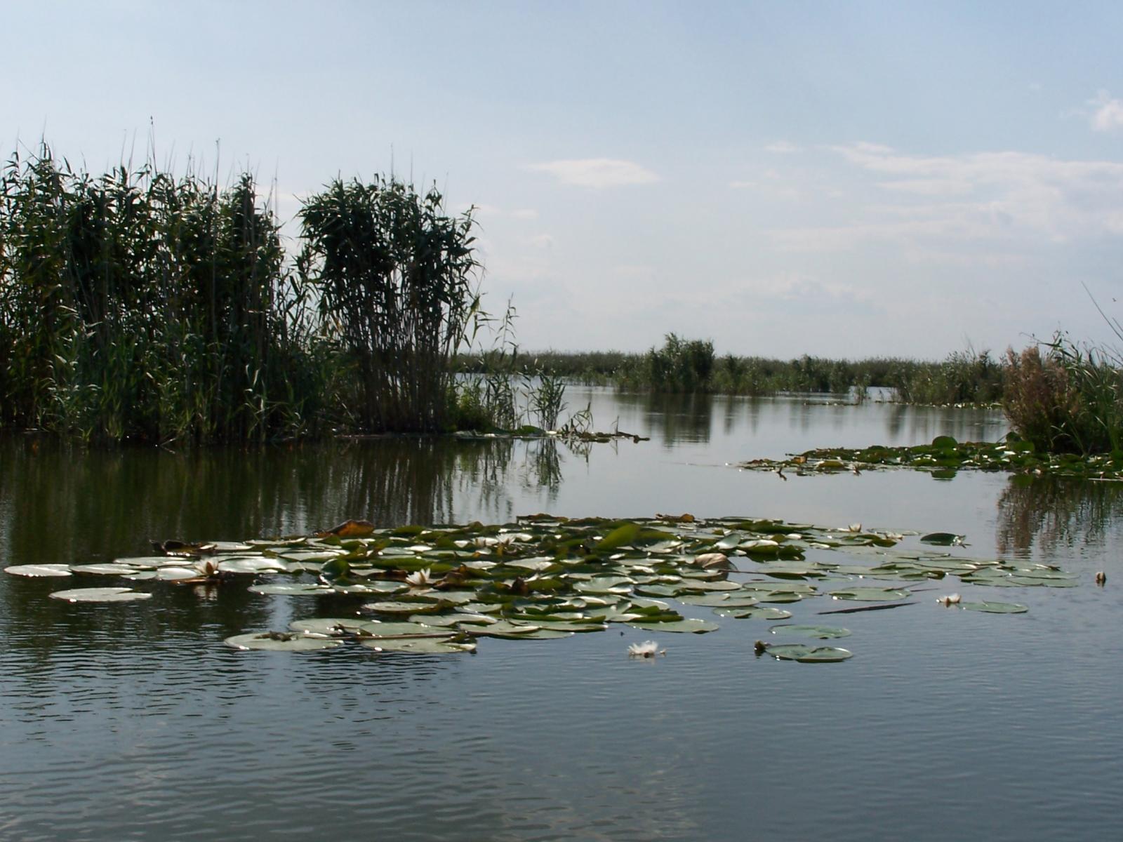 pescuit pe lacul tataru in delta