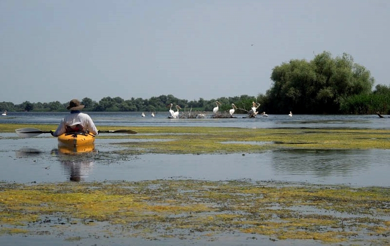 plimbare pe lacul vacaru cu catamaranul