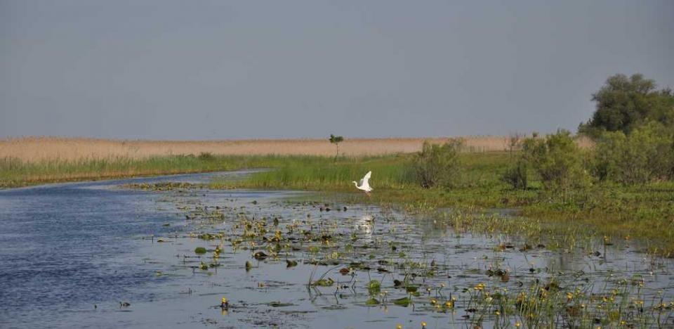 canal magearu drumul catre Letea