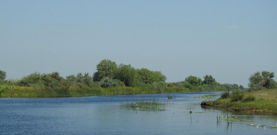 Excursii in Delta Dunarii