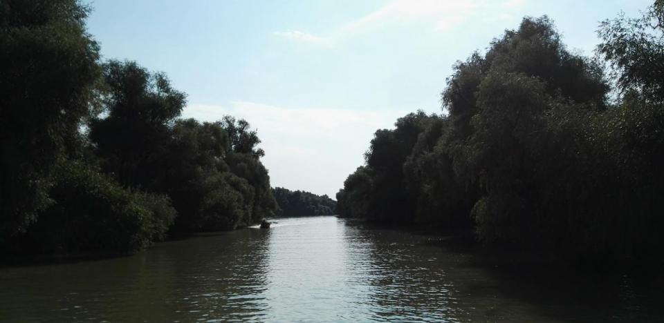 Excursii in Delta Dunarii