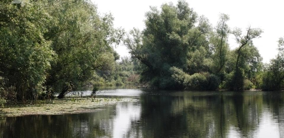 pescuit la stiuca pe lacul bogdaproste 