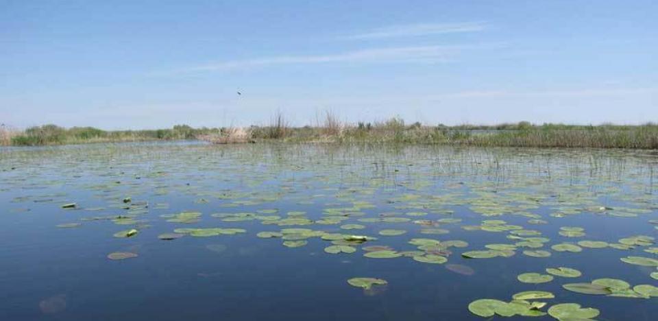 pescuit la sstiuca si biban pe lacul isac din delta 