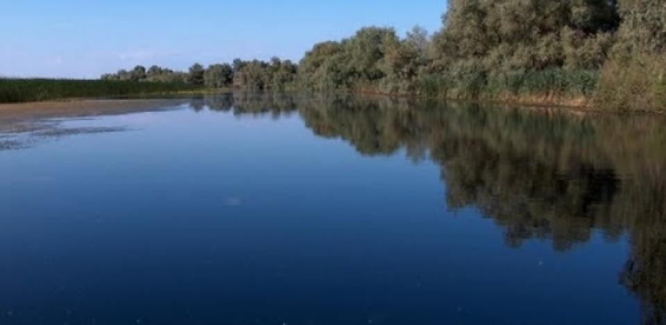 pescuit la stiuca pe lacul chiril in delta