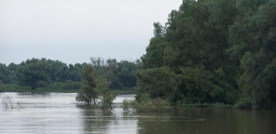 pescuit la crap pe lacul erenciu in delta