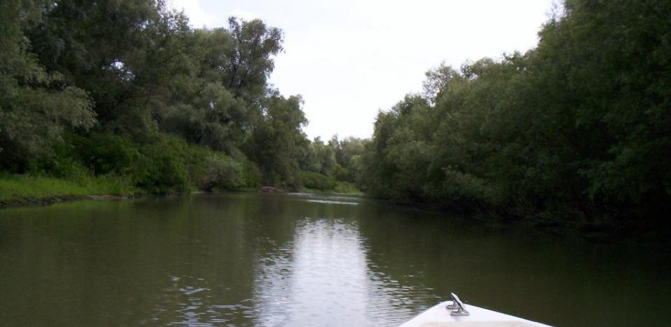 pescuit la stiuca pe lacul gorgostel in delta 