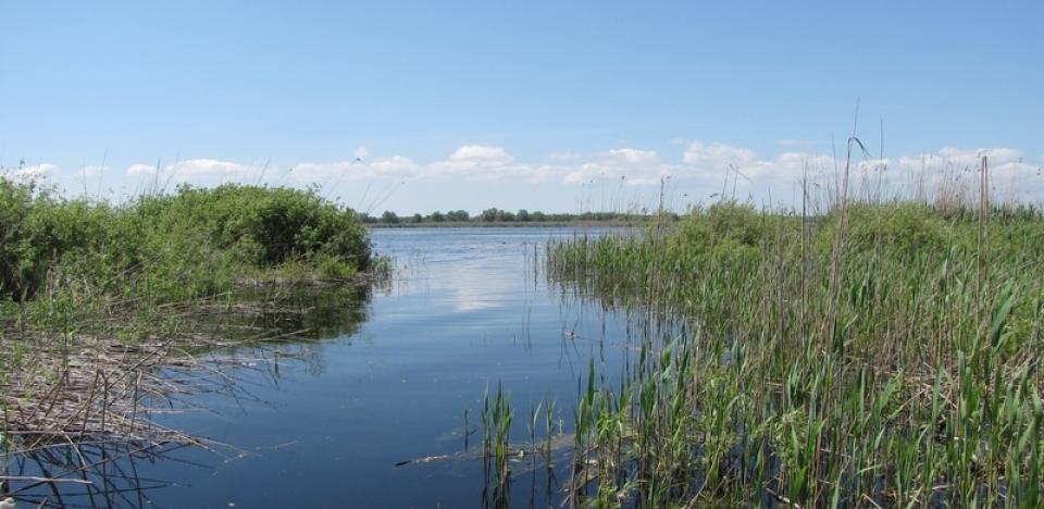 pescuit la stiuca si avat pe lacul gorgova din delta