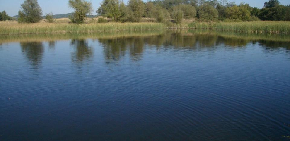 plimbare cu barca pe lacul potcoava in delta