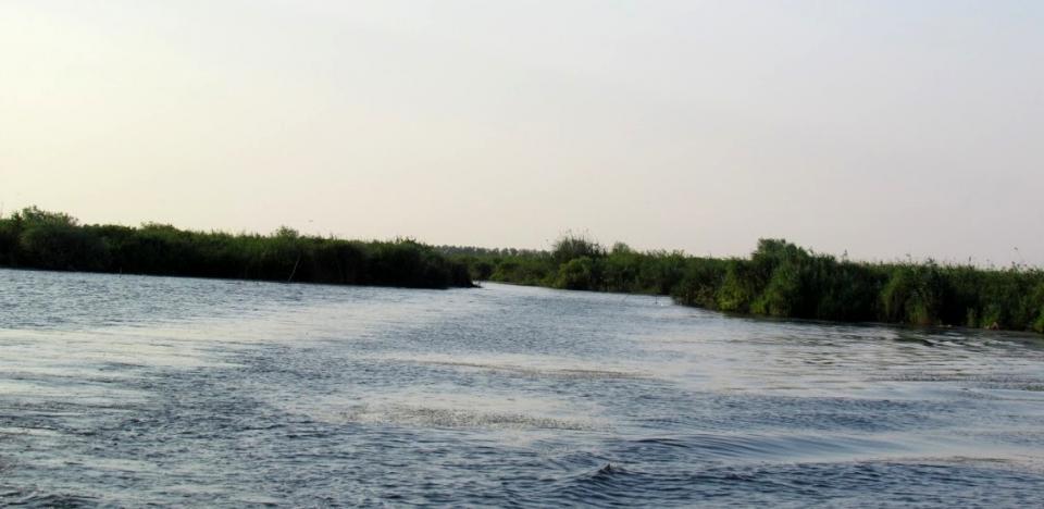 pescuit la stiuca si biban pe lacul puiulet din delta