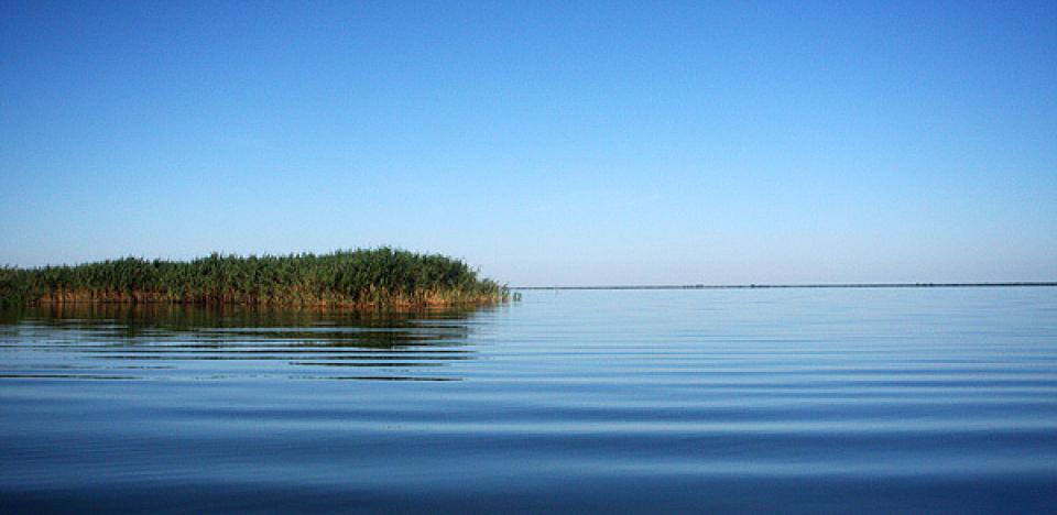 pescuit la stiuca pe lacul rosu in delta