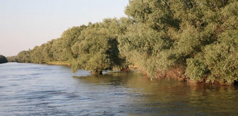 pescuit la stiuca pe lacul tranova din delta