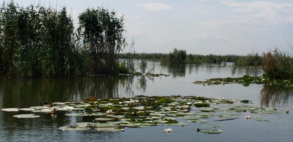 pescuit pe lacul tataru in delta