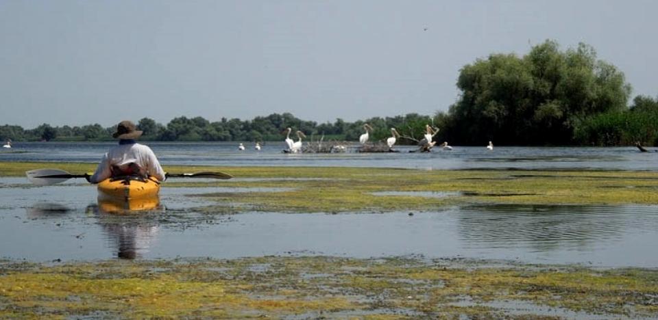 plimbare pe lacul vacaru cu catamaranul