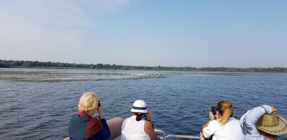 turisti admirand pelicani din delta dunarii