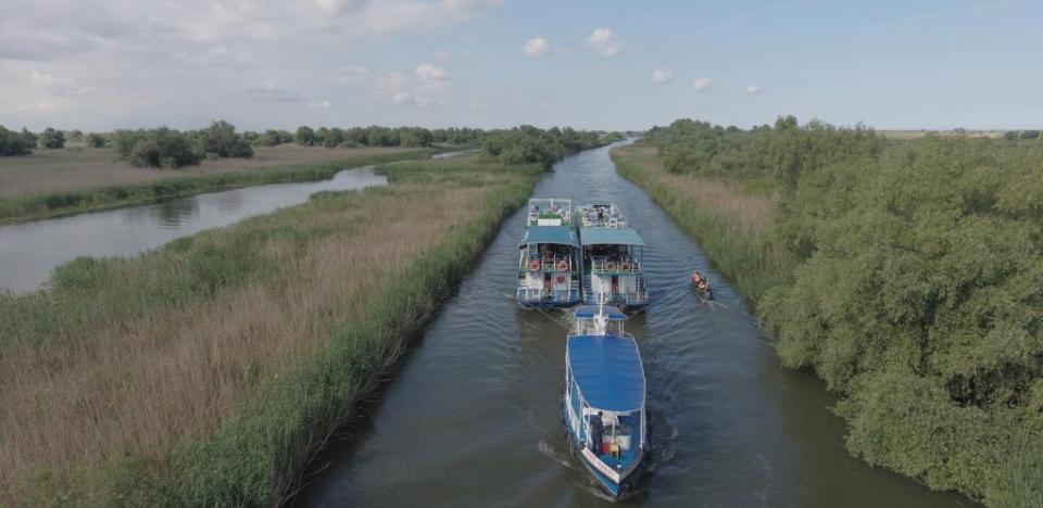 paste in Delta Dunarii turism-delta