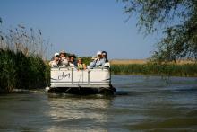 Plimbare cu catamaranul în Delta Dunării